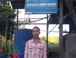 Putus Hubungan dengan BRI, Petani Serai Wangi Kebingungan