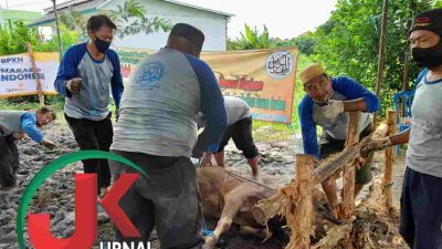 Qurban