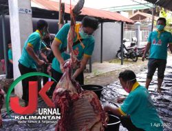 Semarakan Idul Adha, UDD PMI Kota Banjarmasin Berbagi Daging Kurban