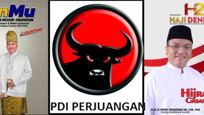 PDIP