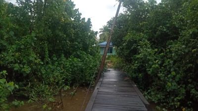 Tiang Miring di Tamban Sari, Siap Diperbaiki PLN ULP Marabahan