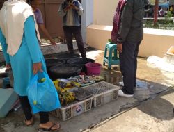 Misi BirinMu, Siap Jadikan Kalsel Gerbang IKN