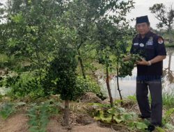 Inginkan Nilai Tambah Produksi Jeruk, Para Petani Sampaikan Aspirasi ke Karlie Hanafi