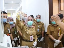 Dispersip Kalsel Kembali Musnahkan Puluhan Ribu Arsip