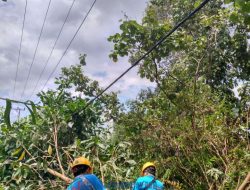 Antisipasi La Nina, PLN ULP Marabahan Terus Lakukan Pemeliharaan