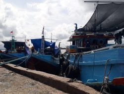 Hadapi Tahun Baru, Pelabuhan Perikanan Banjarmasin Siapkan 100 Ton Ikan