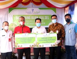 Bersinergi dengan Pemkab Tapin, Bank Kalsel Dukung Produktivitas dan Kualitas Petani Cabe Hiyung
