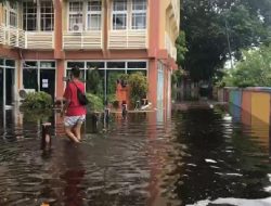 Perpustakaan Palnam Terendam, Dispersip Kalsel Harapkan Kepedulian  Perpusnas RI dan ANRI