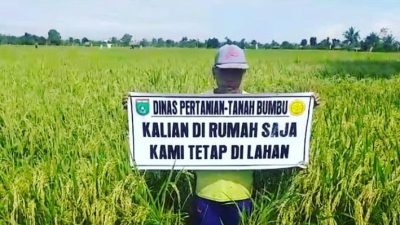 Dinas Pertanian Tanbu