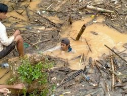 Sampah Kayu Menumpuk di Sungai Desa Aluan Besar HST