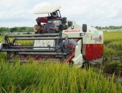 Gubernur Bersyukur Para Petani di Kalsel, Mampu Menjaga Produktivitasnya dengan Baik