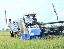 Karena Mampu Memenuhi Kebutuhan Beras Sendiri, Kalsel Tidak Perlu lagi Impor Beras