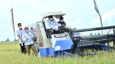 Karena Mampu Memenuhi Kebutuhan Beras Sendiri, Kalsel Tidak Perlu lagi Impor Beras