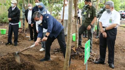 Tangani Pasca Banjir di Kalsel, KLHK Susun Aksi Terintegrasi Jangka Pendek dan Panjang