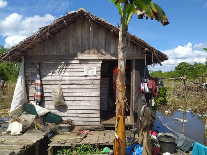Balita