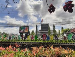 Perpustakaan Palnam Tempat yang Nyaman untuk Belajar 