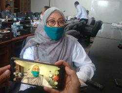 Dinas DLH : FABA PLTU Dinilai Bukan Limbah