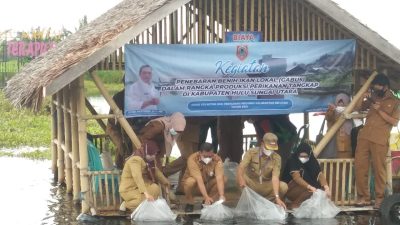 Dinas Kelautan dan Perikanan Kalsel, Tebar 30.000 ekor Benih Ikan Lokal di Desa Banyu Hirang HSU