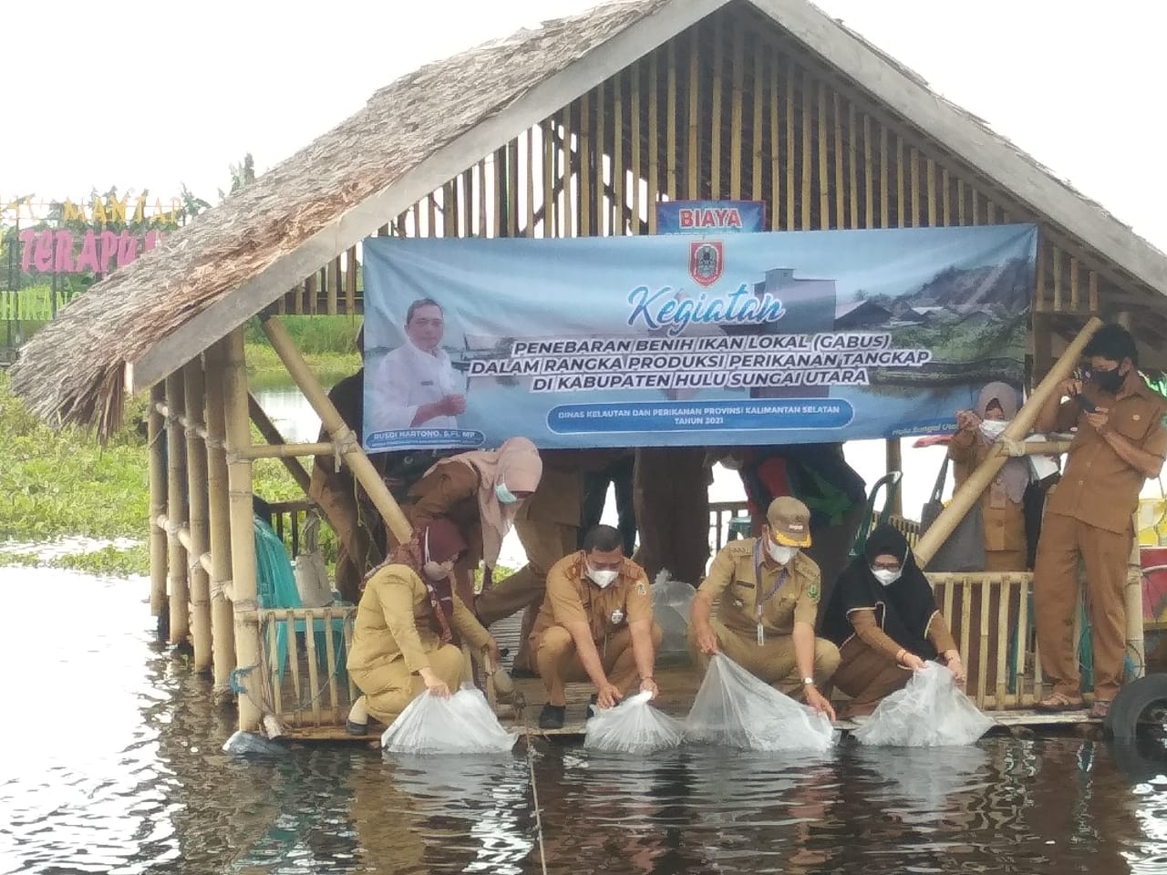 Ikan Benih Lokal