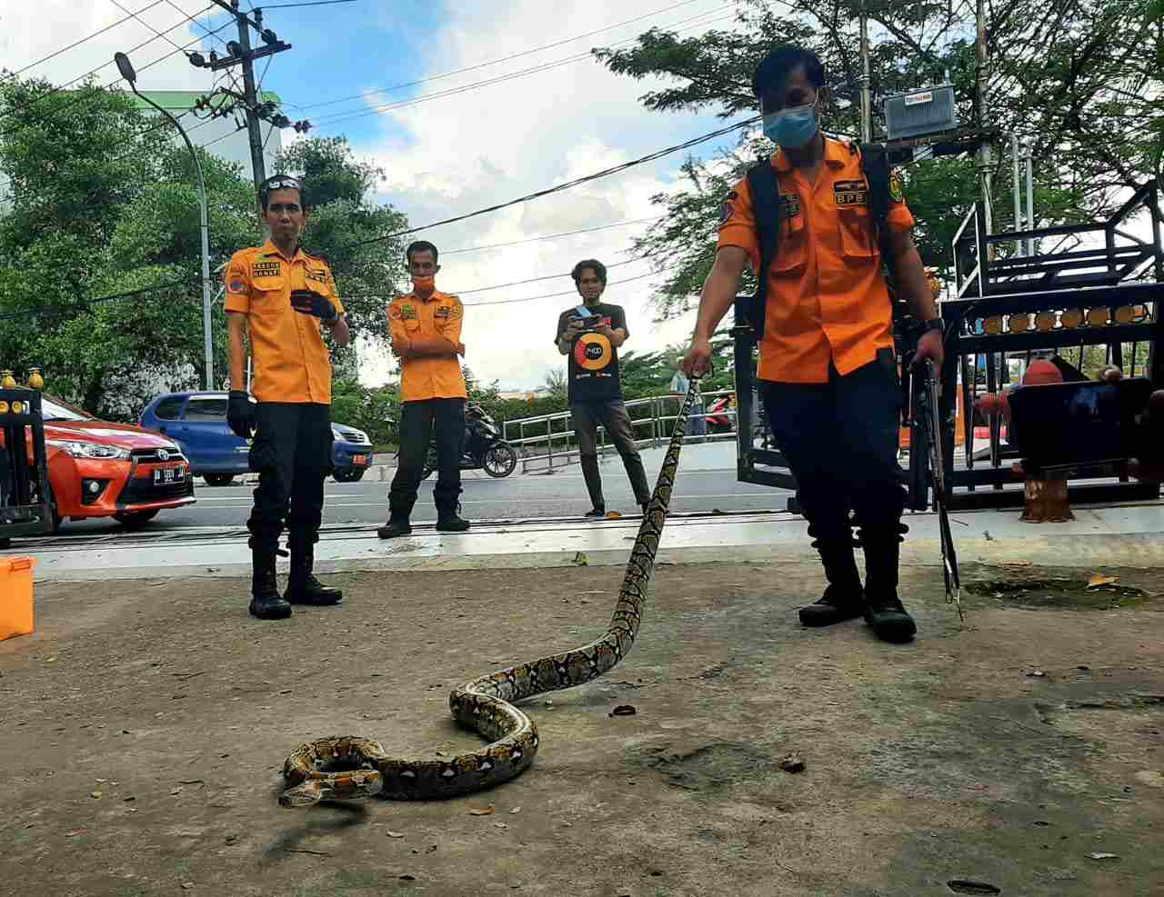 Ular masuk ke permukiman warga