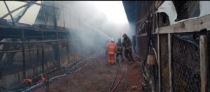 15 Ribu Ayam Mati Terpanggang Akibat Kebakaran