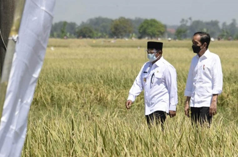 Panen Melimpah, Wagub Harapkan Petani Indramayu Tidak Mengalihfungsikan Sawah