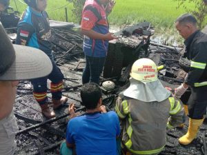 Kebakaran di Malintang Lama, Menelan Korban Jiwa Satu Orang Lansia
