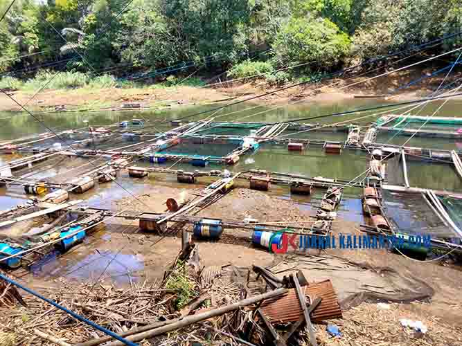 Debit Air Sungai Riam Kanan Menurun, Pembudi Daya Ikan Was-was 
