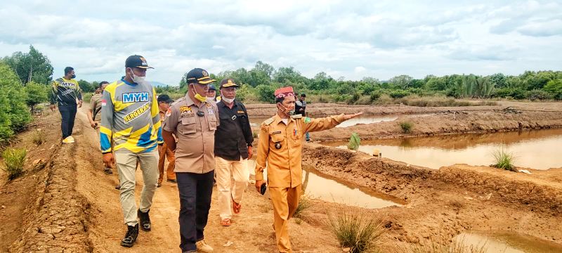 Lahan Kritis di Kalsel Capai 4.700 Ha, Pemerintah Disarankan Fokus Rehabilitasi Mangrove