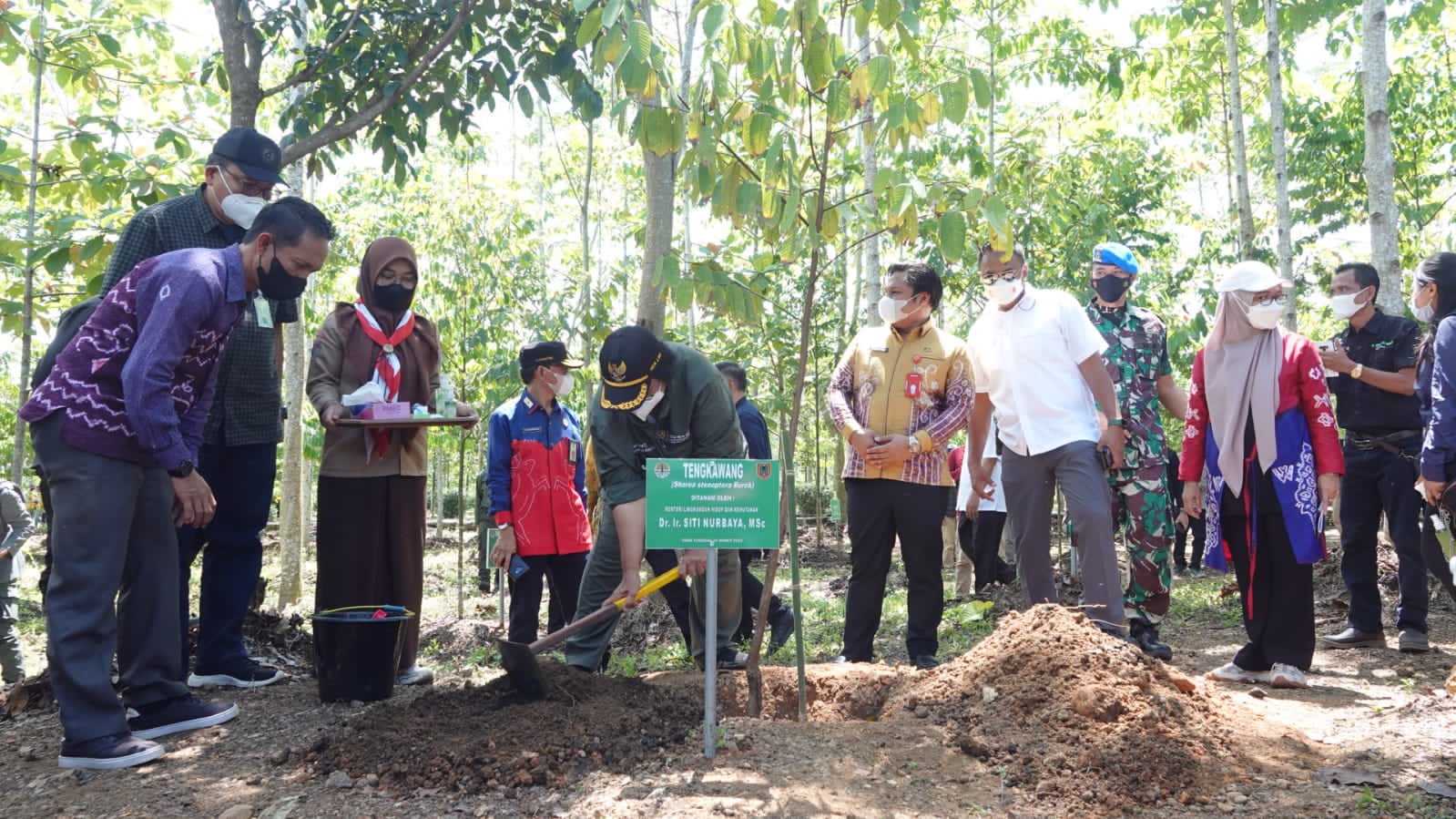 Menteri LHK Apresiasi Taman Hutan Hujan Tropis Kalsel