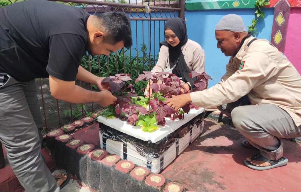 Manfaatkan Bahan Bekas, Perpustakaan Palnam Edukasi Pemustaka Dengan Tanaman Hidroponik