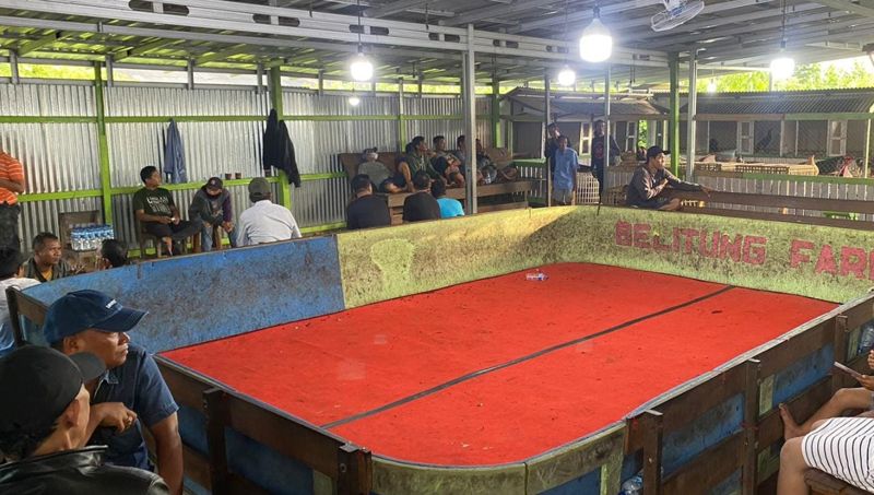 Polda Kalsel Tetapkan 5 Tersangka Kasus Perjudian di Belitung