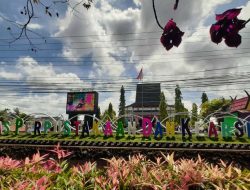 Yuk Daftar, Nonton Gratis Selama Bulan Agustus di Perpustakaan Palnam