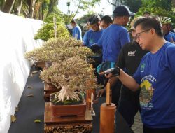 Wali Kota Kaget, Banyak Perajin Bonsai Kreatif di Banjarmasin