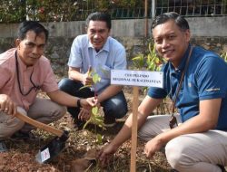Pelindo Subregional 3 Kalimantan Berpartisipasi dalam Program Penanaman 21 Juta Pohon