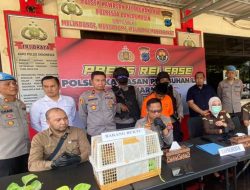 Polsek KPL Banjarmasin Berhasil Gagalkan Dugaan Penyelundupan Satwa Dilindungi