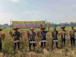 Antisipasi El Nino, Pemkab Balangan Bersama Polres Balangan Gelar Panen Raya