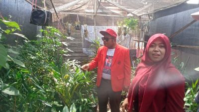 Caleg Saut Nathan Samosir Blusukan ke RT 1 Kuin Cerucuk, Warga Minta Perjuangkan Pengembangan Taman Asman Toga Mawar