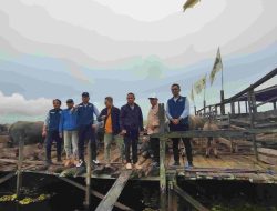 Kerbau Rawa Amuntai Ditinjau Langsung Kemenkumham Kalsel dan Pemkab HSU