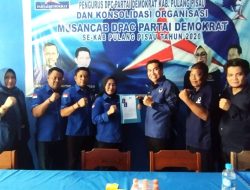 DPD Partai Nasdem Daftar Balon Wakil Bupati ke DPC Partai Demokrat Pulang Pisau