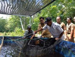 Skor PPH Bertengger di Nasional, Badan Pangan Nasional Apresiasi Pemkab HST