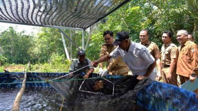 Skor PPH Bertengger di Nasional, Badan Pangan Nasional Apresiasi Pemkab HST