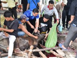Momen Iduladha 1445 H, Ibnu Sina Potong Sapi Kurban di RSUD Sultan Suriansyah