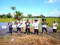 Tanam Padi Bersama di Desa Wawai Gardu, Pemkab HST Salurkan Bantuan Pompa Air
