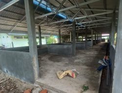 Komitmen Pemkab Balangan Kembangkan Sektor Peternakan