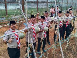 Panen Perdana Buah Melon di Lapas Banjarbaru