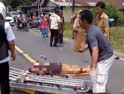 Kecelakaan Maut Lalu Lintas, ASN Dinas Perikanan Pulang Pisau Tertabrak Truk dari Belakang