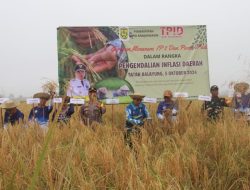 Panen Raya, Wali Kota Banjarmasin Optimis Tekan Inflasi & Sejahterakan Petani