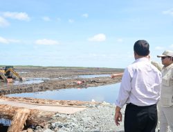 Kunjungi Merauke, Presiden Prabowo Lihat Langsung Persiapan Demplot Padi