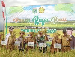 Panen Raya Bersama Bupati Zairullah di Desa Manurung Kusan Tengah